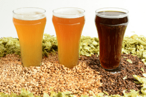 Botany & Brews
