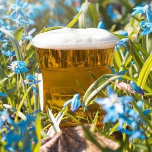 A cup of beer sits in the grass surrounded by blue flowers.