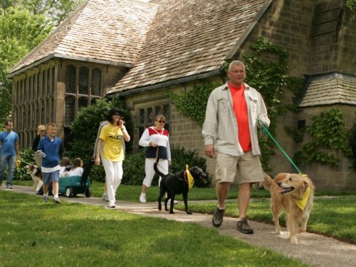 Ford dog house online