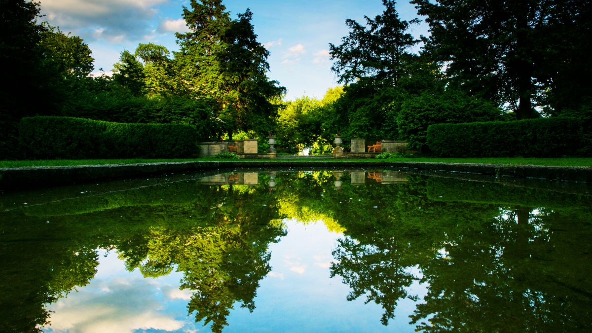 A peaceful reflecting pool framed by manicured hedges and trees in the Formal Garden at Ford House, glowing in the late-day sun.
