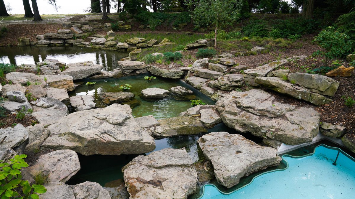 Overhead view of the interconnected rock-lined pools and lagoon features that make up the historic recreation landscape at Ford House.