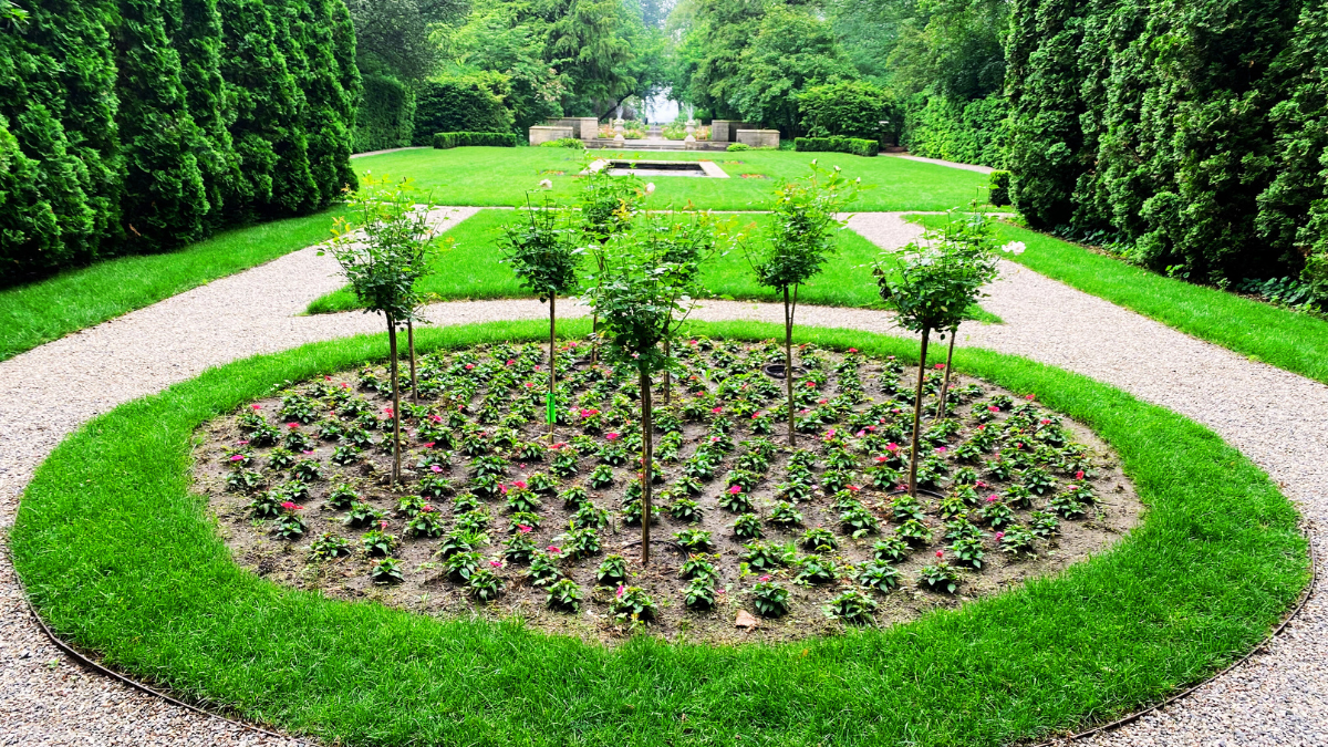 Circular garden bed in the Formal Garden at Ford House featuring rows of young flowering plants and rose topiaries, surrounded by gravel walking paths and manicured green lawns framed by tall hedges.