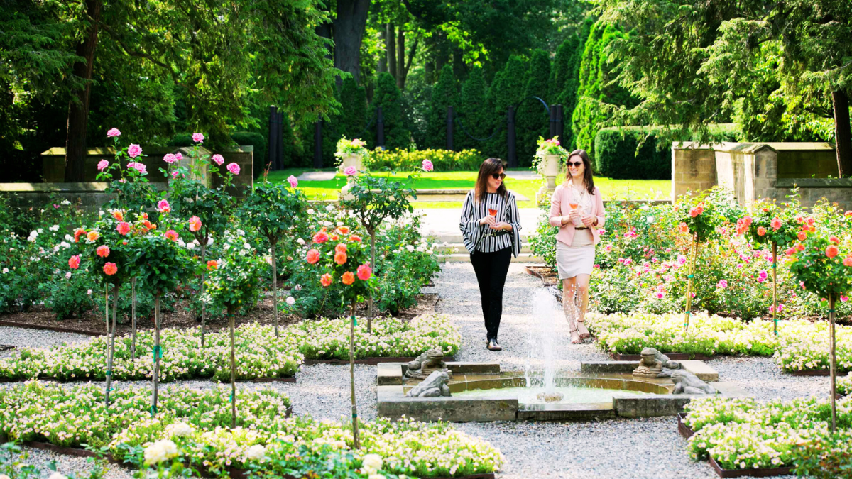 Two women walk along a garden path with glasses of rosé in hand, surrounded by rose topiaries and blooming flower beds in the Formal Rose Garden at Ford House.
