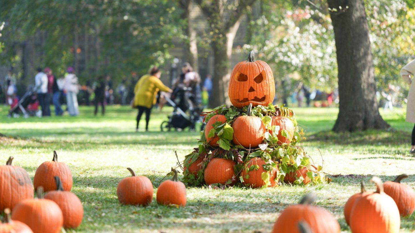 A stack of carved pumpkins sits in a field as guests enjoy the fall festivities in the distance.