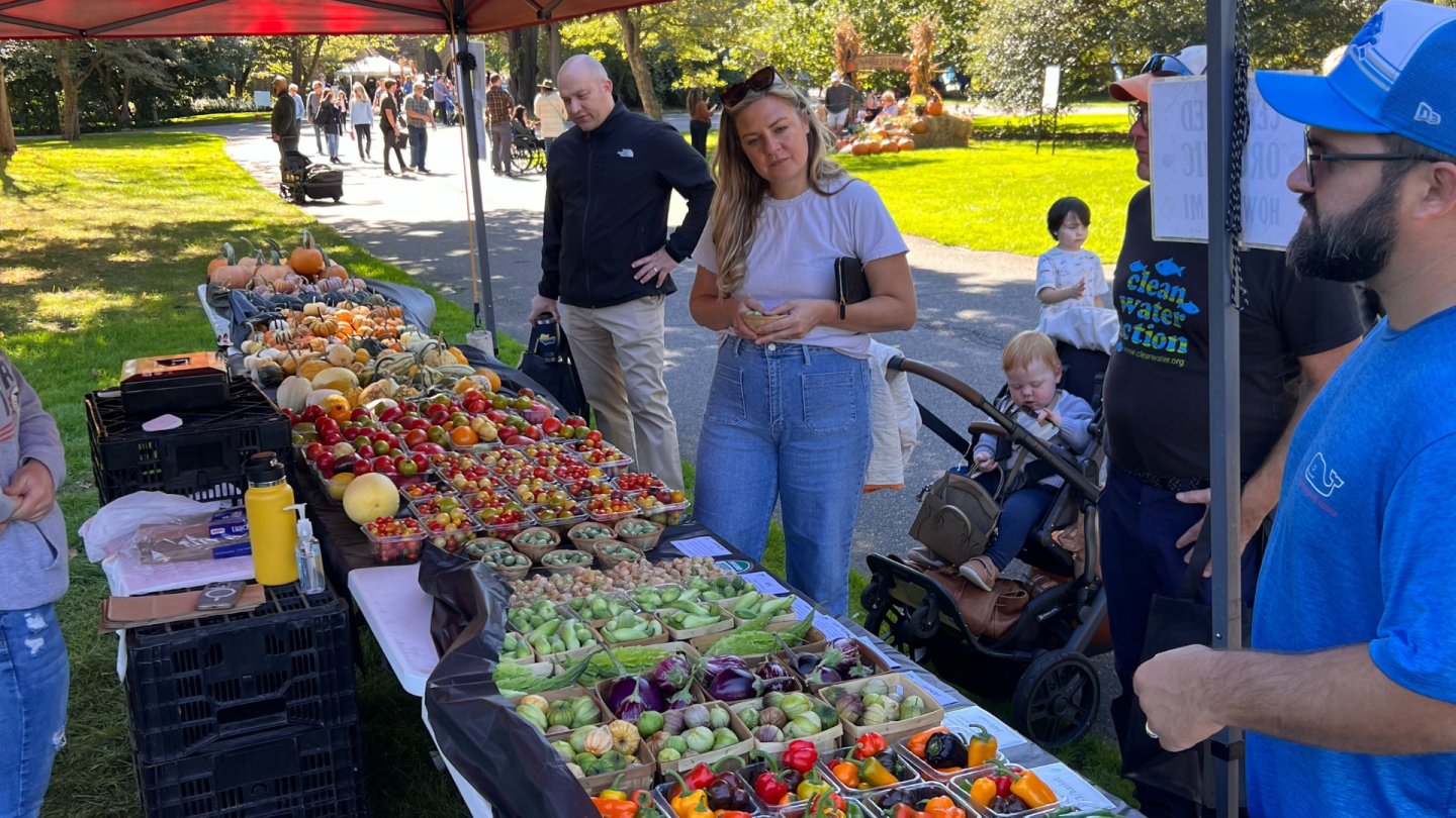 A table filled with fresh produce like tomatoes, okra, eggplant, and peppers draws interest from attendees at a farmers market-style booth.