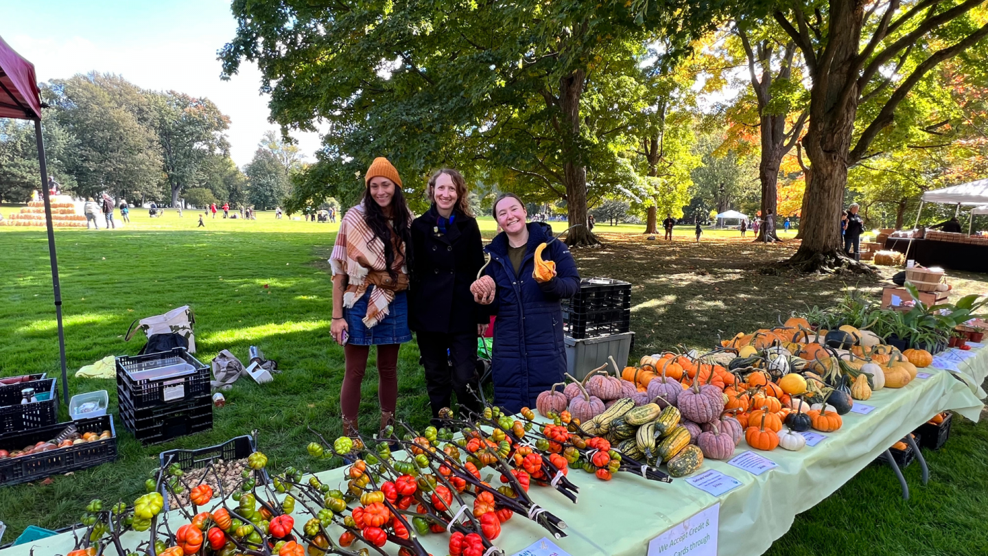 Three smiling women stand behind a table full of gourds and decorative pumpkin stems at a Harvest Day vendor booth.